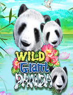 รีวิวสล็อต ดาวน์โหลดที่น่าลอง! ฟีเจอร์เด็ดจาก Pragmatic Play